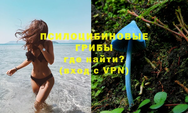 прущая мука Болотное