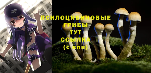 ECSTASY Алексин